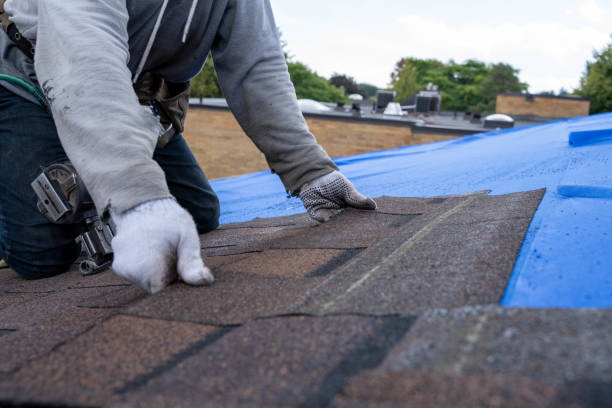 Roof Installation Near Me